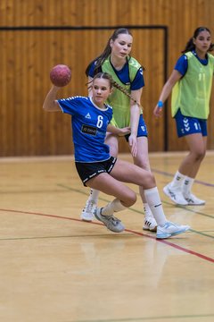 Bild 84 - wBJ TSV Ellerau - HSG Stoertal Hummeln : Ergebnis: 26:19